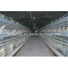 Cheap Breeders Chicken Cage From China on Sell